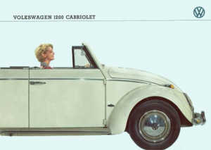 volkswagen100_196301_02.jpg