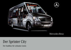 mercedesnfz710_200809_20