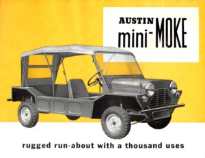 mini100_196508_20